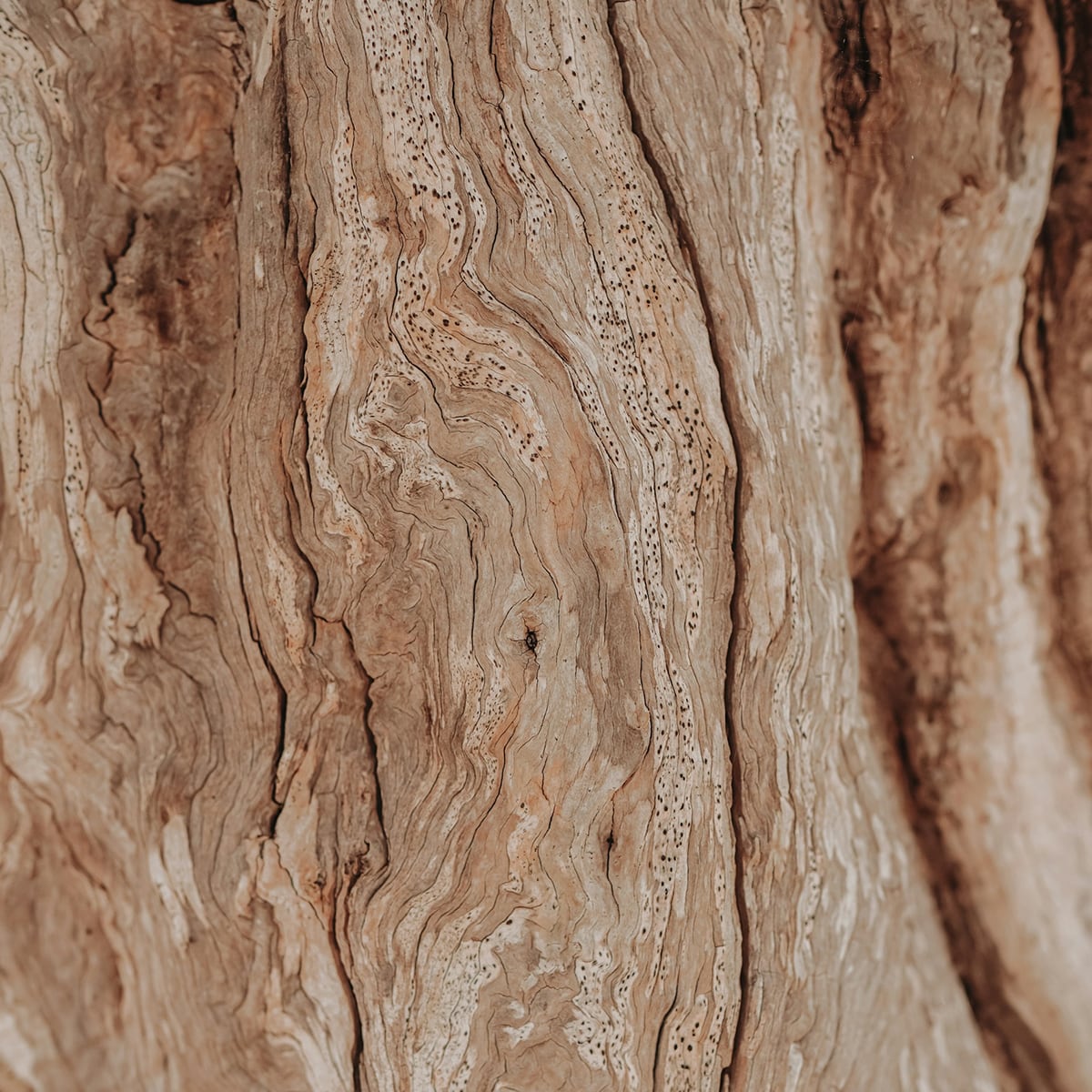 Psychotherapie-Goldnagl-_0001_jasmin-ne-cOI24q7MUbQ-unsplash