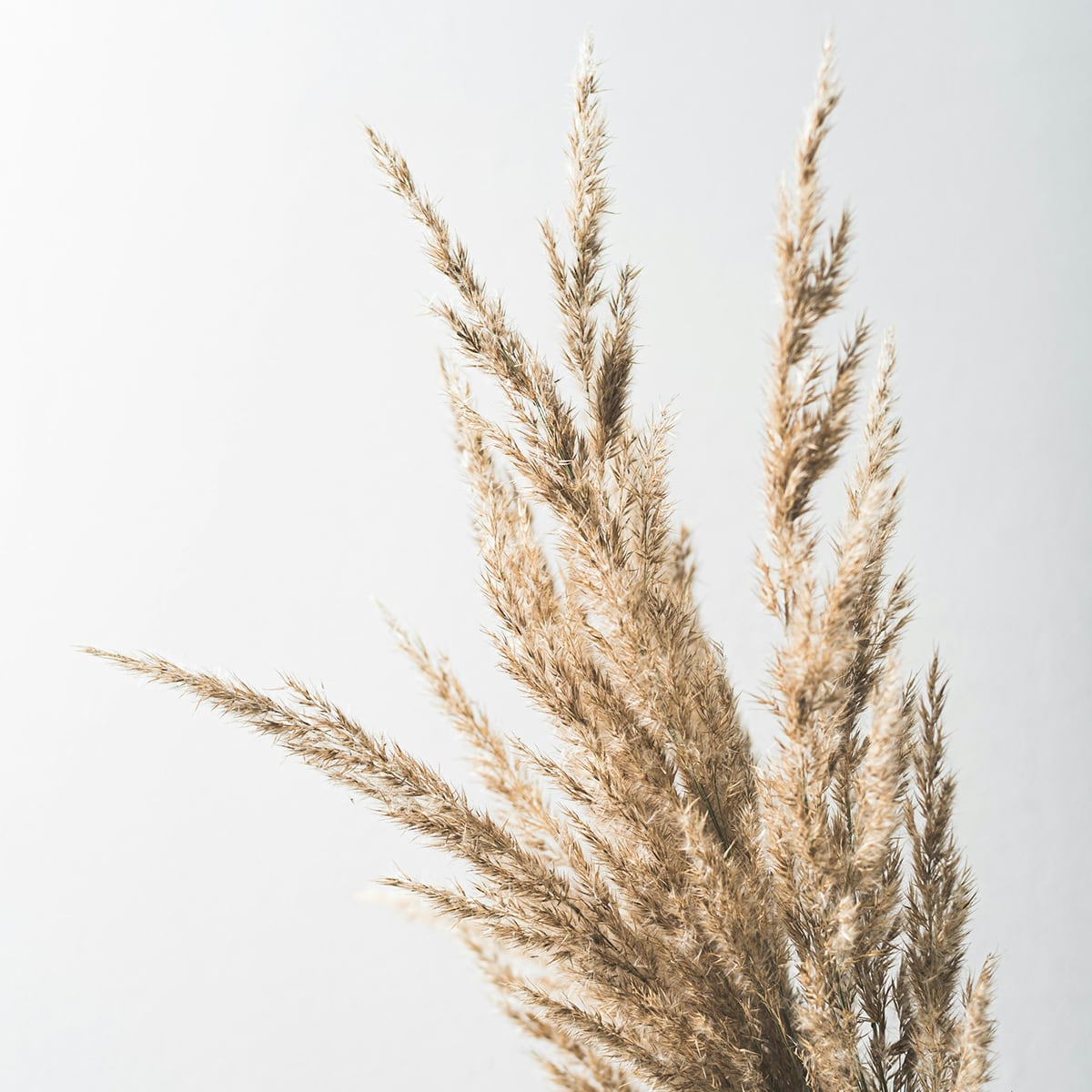 Psychotherapie-Goldnagl-_0004_oscar-helgstrand-oxEhuyAlqYk-unsplash