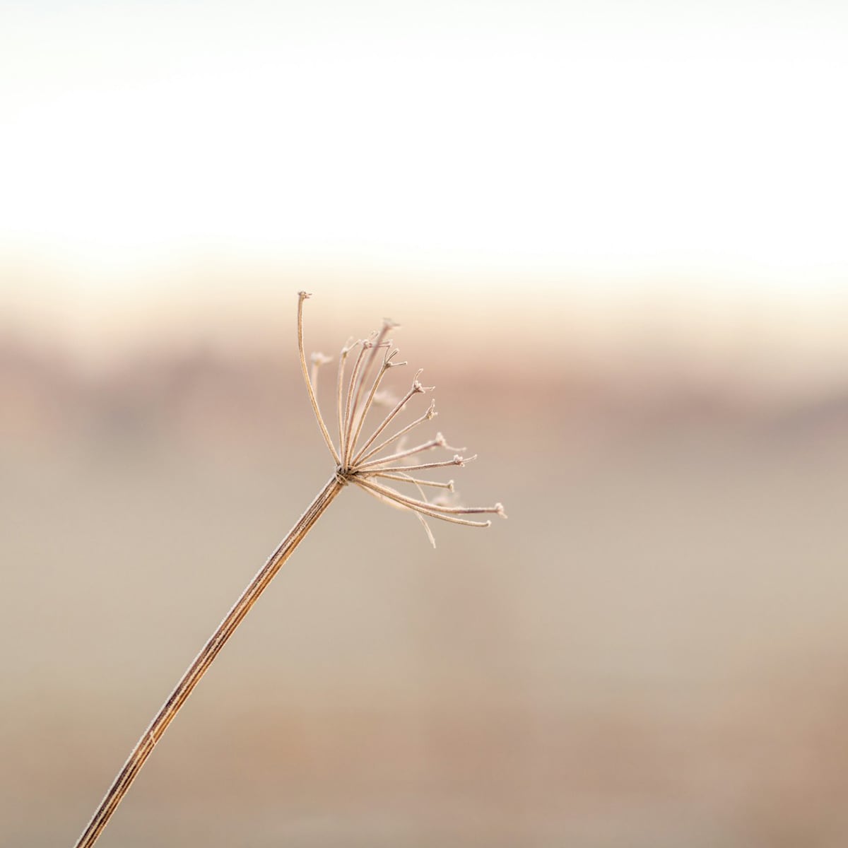 Psychotherapie-Goldnagl-_0010_ben-griffiths-ybFAhjUV4Cs-unsplash